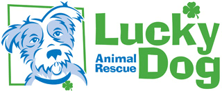 sign up to be a lucky dog volunteer all volunteers must be 18 or older